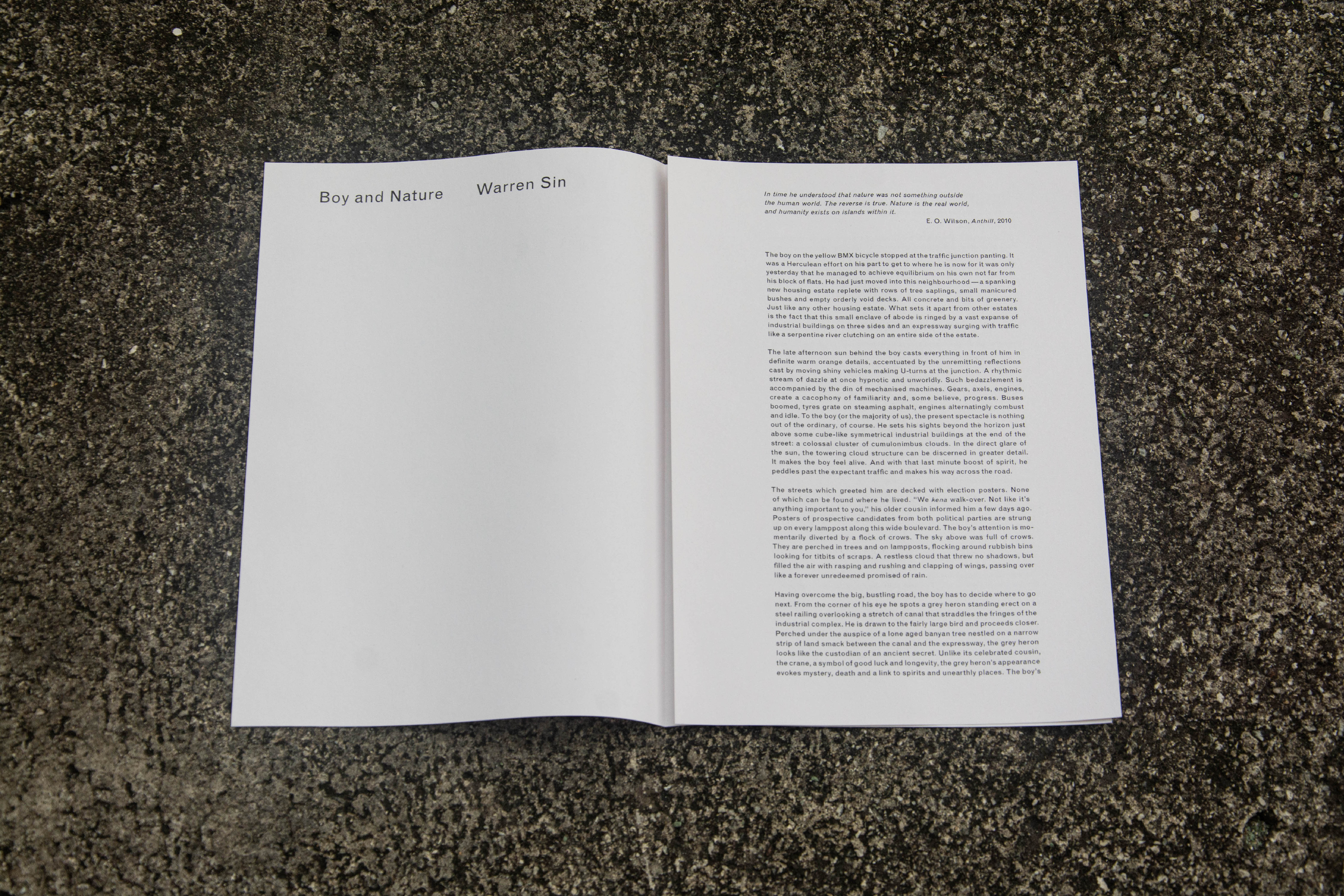 853 The Dogs (exhibition handout), for Lai Yu Tong